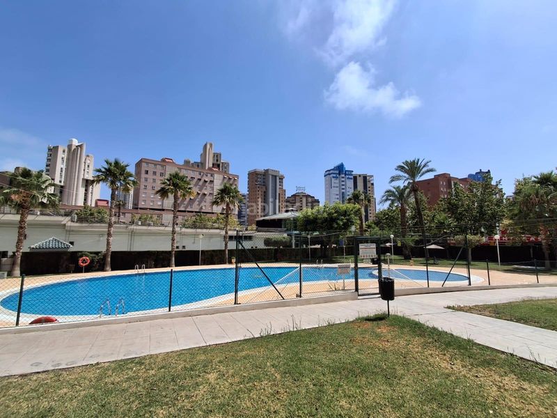 Foto 2f0b8143-83d0-431c-b379-129f5ca291c9. Pis amb aparcament piscina a Juzgados - Plaza de Toros Benidorm
