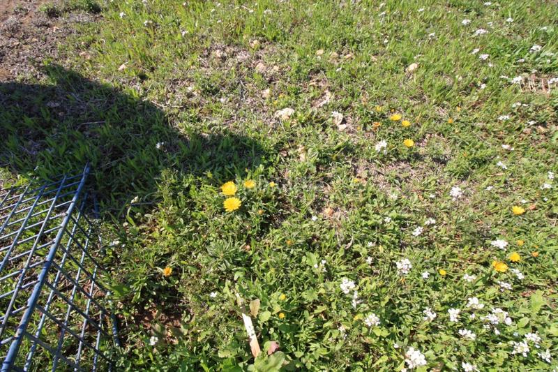 Foto 1bbaca0c-dd6e-43be-8353-ee1e768e8959. Chalet mit heizung parking pool in Lomas de Cabo Roig - Los Dolses Orihuela