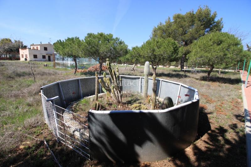 Foto 2c3891bb-5be4-4bf1-a67d-a738d17d2844. Chalet mit heizung parking pool in Lomas de Cabo Roig - Los Dolses Orihuela