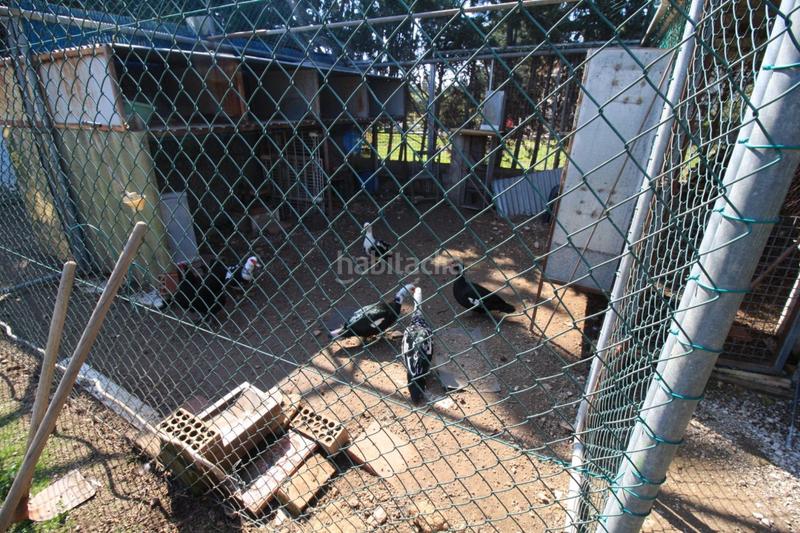 Foto c9663644-3037-476d-8d3c-af813380941b. Chalet mit heizung parking pool in Lomas de Cabo Roig - Los Dolses Orihuela