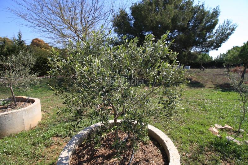 Foto e5f85a42-f484-45ce-b852-8b35c7f03302. Chalet mit heizung parking pool in Lomas de Cabo Roig - Los Dolses Orihuela