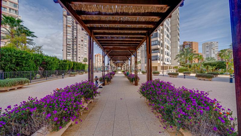 Foto 88fa97c0-71b5-4494-bbb9-bf4593771895. Piccolo appartamento con riscaldamento piscina in Benidorm