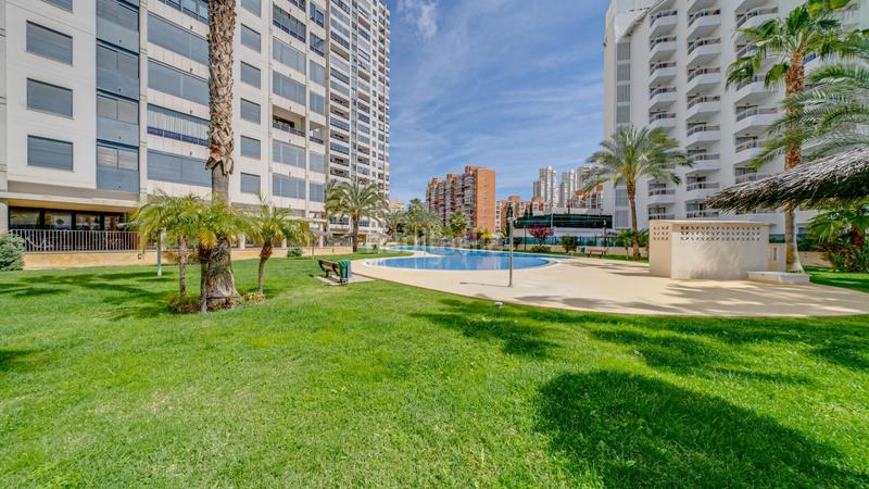 Foto 93a8a25b-f13d-4cad-9960-df64771d5dae. Piccolo appartamento con riscaldamento piscina in Benidorm
