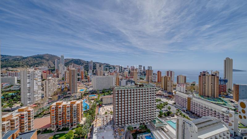 Foto dc6aea59-5133-4630-b865-10c21431bf70. Piccolo appartamento con riscaldamento piscina in Benidorm