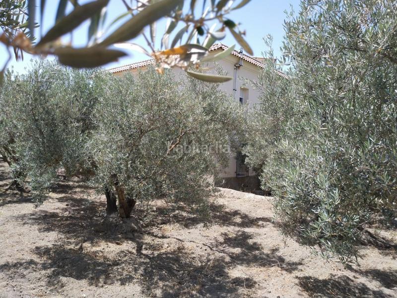 Foto a82db586-d776-4277-adfc-ace4a88a23e7. Masía casa con terreno mas de 4400 m2. piscina privada. vistas paisaje. en Alsodux