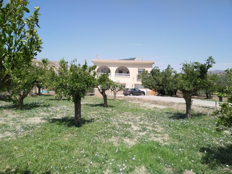 Foto cefa1bf7-d0b9-432d-a755-16b74f7ff78d. Masía casa con terreno mas de 4400 m2. piscina privada. vistas paisaje. en Alsodux