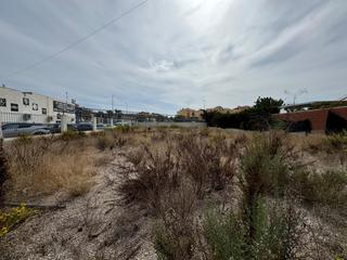 Terreny residencial a La Regia. Parcela 1000 m2 en orihuela costa. a 350 metros del mar.