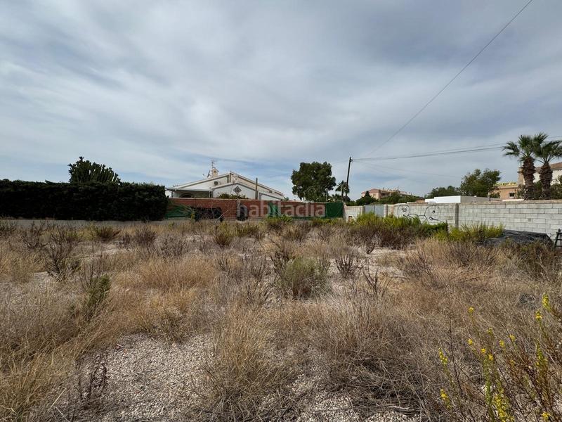 Foto aefcc6b2-0aab-4264-928a-d676355f17d9. Wohngrundstück in La Regia Orihuela