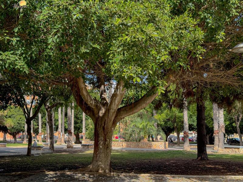 Foto b63b6915-2513-4560-8ab7-3a4bd6502303. Attique dans El Acequión Torrevieja