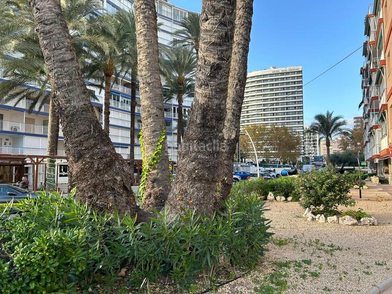 Foto 4653c1a0-69b1-4179-878d-c618cc7078b1. Apartamento en calle almeria 2 luminoso apartamento en primera línea de la Playa Levante en Benidorm