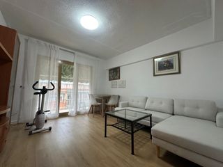 Pis  Calle pradilla. Piso en carolinas altas con inquilinos