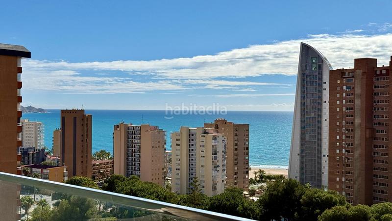 Foto f6496fad-759c-4a6c-80f6-d0f3f4d3a829. Affitto piccolo appartamento con riscaldamento parcheggio piscina in Benidorm