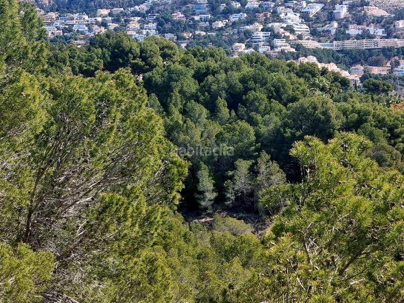 Foto 0f063c36-b69c-4be6-a552-a32ba97d9d14. Terreno residenziale in calle xenna 12 in Altea ciudad Altea