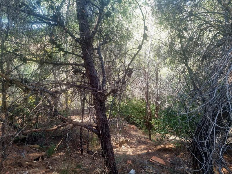 Foto 1a3bdebe-6e5c-4957-bd01-c13fbe285e51. Terreno residenziale in calle xenna 12 in Altea ciudad Altea