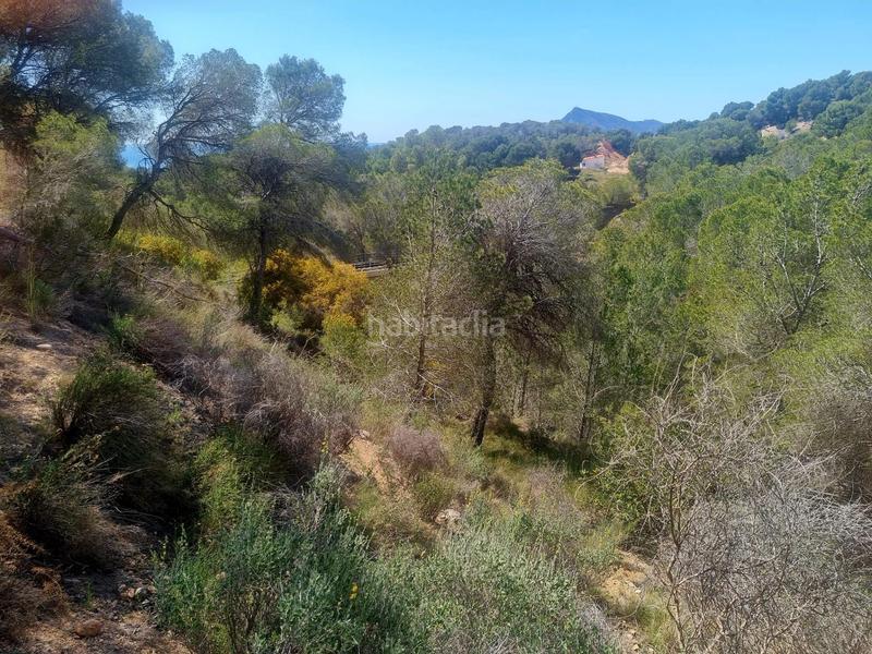 Foto 2d23bc67-4d2e-4a6b-aabe-e4431f41ab97. Terreno residenziale in calle xenna 12 in Altea ciudad Altea