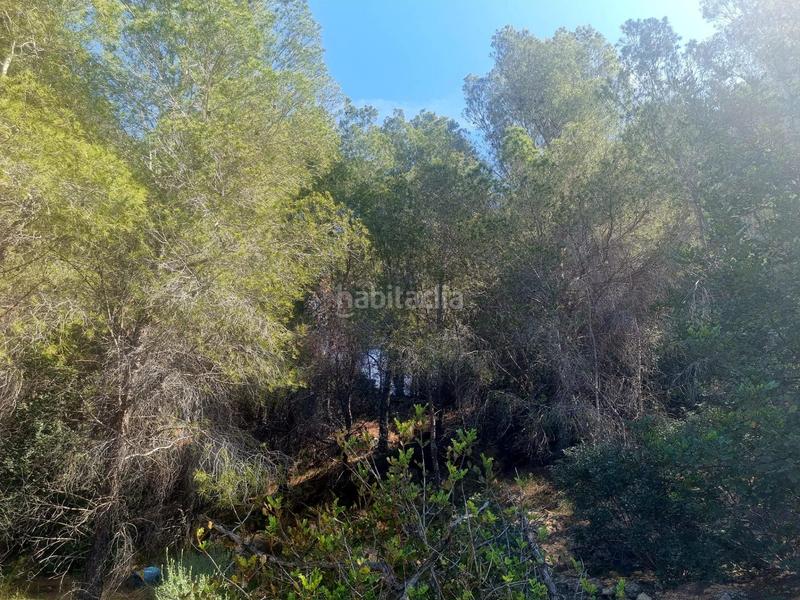 Foto 3b70a177-34db-425c-ac50-ed282a793658. Terreno residenziale in calle xenna 12 in Altea ciudad Altea