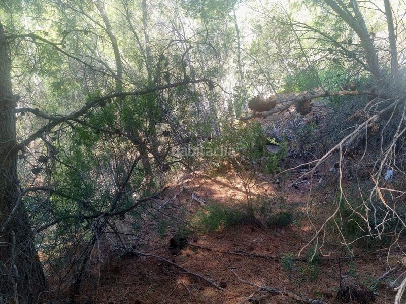 Foto 733a82e4-8759-4ab5-ba82-2ce3ba8a4241. Terreno residenziale in calle xenna 12 in Altea ciudad Altea