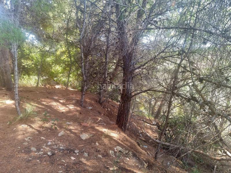 Foto cb8552e4-f3bb-4f88-9e42-eb8a3f6cad9c. Terreno residenziale in calle xenna 12 in Altea ciudad Altea