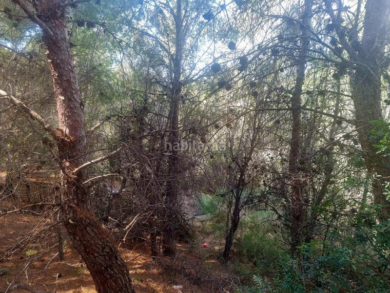 Foto e7f6eaae-e4db-429c-a6a8-6a616bd47daa. Terreno residenziale in calle xenna 12 in Altea ciudad Altea