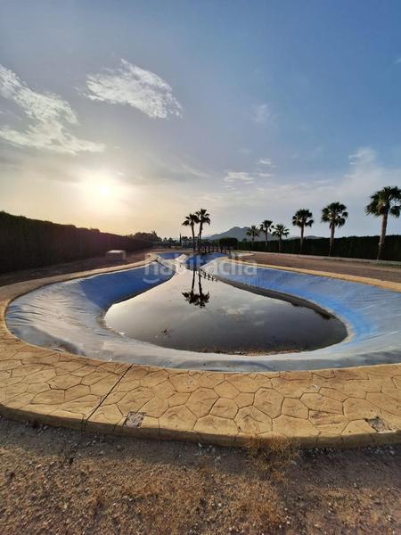 Foto 6bbaf289-f0d7-45d0-9048-b17ada79d38c. Xalet amb calefacció aparcament piscina a Pedanías Oeste Aspe