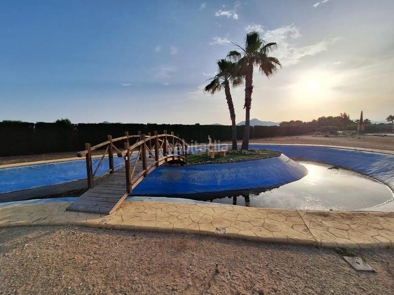 Foto 6c0e1056-c578-4556-b833-8055c3a89ad0. Xalet amb calefacció aparcament piscina a Pedanías Oeste Aspe