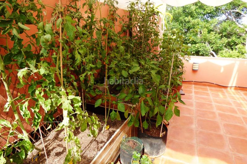 Foto 2320b76a-56d2-4599-9aff-b21ea0c34956. Reihenhaus mit heizung parking pool in Alicante golf Alicante