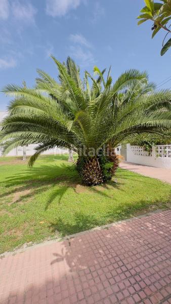 Foto 82fbe1b5-28d7-4051-a207-fa7b364114d0. Casa in Zona Playa de los Locos Torrevieja