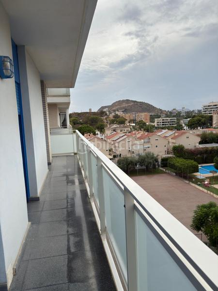 Foto 180380a9-b6e1-4586-9937-1effc9dc2aa7. Affitto piccolo appartamento con parcheggio piscina in Alicante
