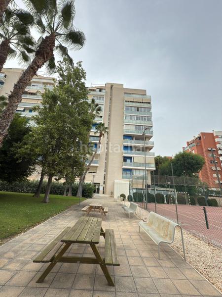 Foto 537b83cc-9154-4628-836c-fc7d8f5452ee. Affitto piccolo appartamento con parcheggio piscina in Alicante