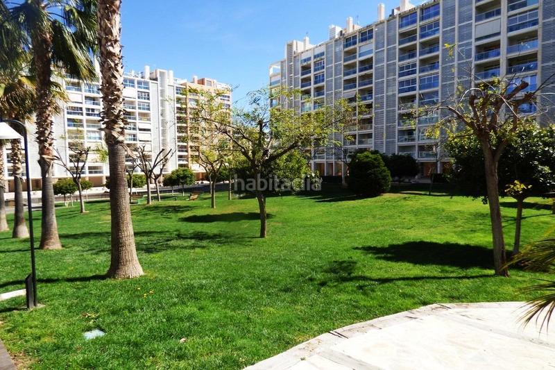 Foto 3ab018c0-059b-4272-93bc-d6349fb9b524. Alquiler piso magnífico piso en parque azaleas en historiador vicente ramos!!! en Alicante