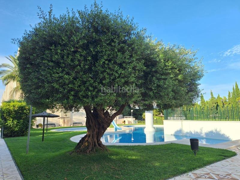 Foto ab555a16-d288-410c-b9cd-50242bea1d21. Affitto appartamento con riscaldamento parcheggio piscina in Alicante