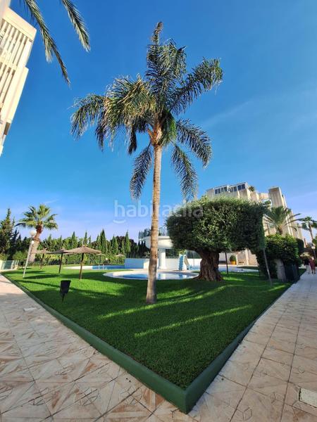 Foto 3de73e25-caa9-40a0-9022-a0ff91697245. Alquiler piso espectacular piso en primera línea del campo de golf en urbanización de lujo alquiler larga estancia en Alicante
