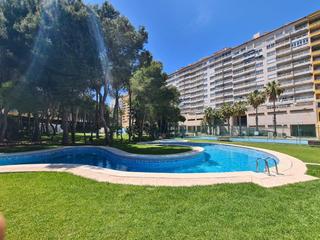 Piccolo appartamento in Campoamor. Apartamento con licencia turistica en compoamor. 3 dormitorios.