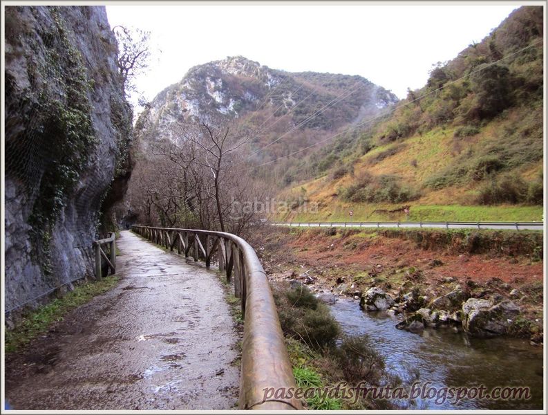 Foto a88016e8-4c85-45ed-b3b1-14810623a189. Casa a Proaza