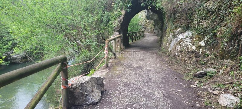 Foto e4dfd269-cc75-4248-a205-307c905c347d. Casa a Proaza