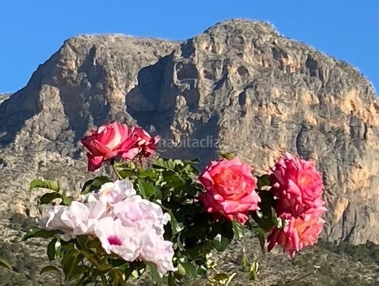 Foto 0c59b10d-d486-4d07-8c4a-f49e6ed498ed. Xalet amb aparcament piscina a La Alberca Polop