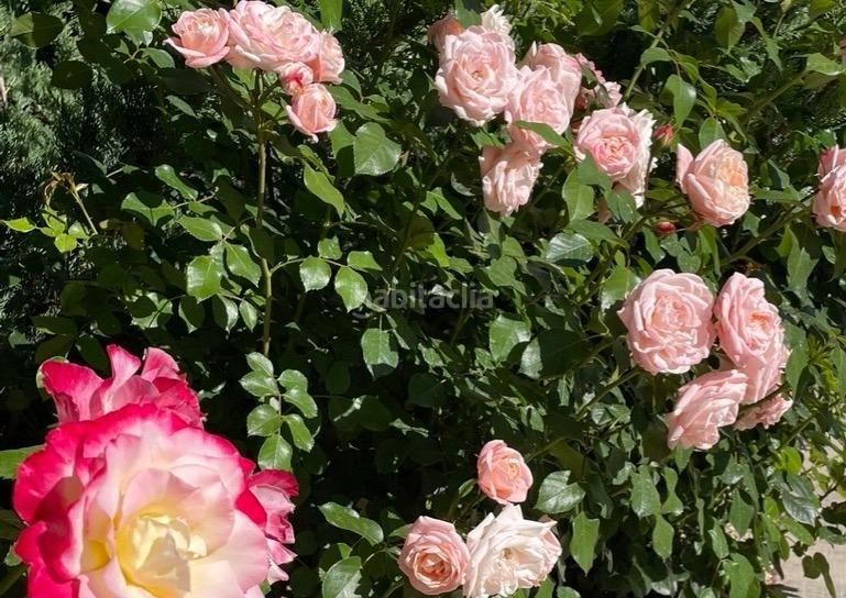 Foto 120799b8-d624-4b04-9875-9cb23ca04bd9. Xalet amb aparcament piscina a La Alberca Polop