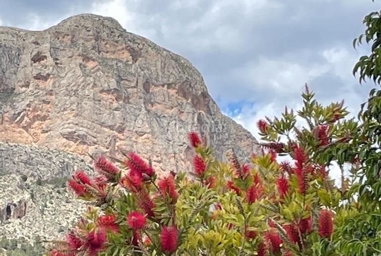 Foto 1278eb9f-e553-4665-9ec7-dd12e1b5662e. Xalet amb aparcament piscina a La Alberca Polop