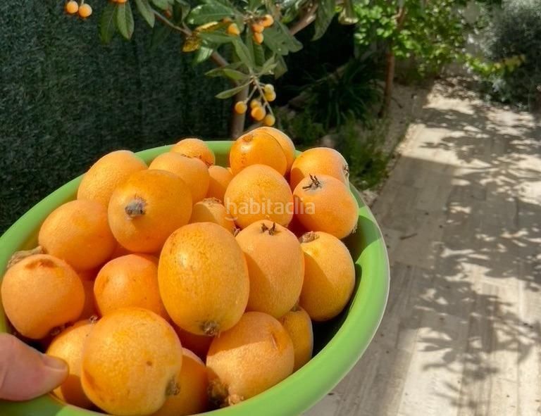 Foto 48c7d05f-19aa-4d13-aeb0-1c82589990c9. Xalet amb aparcament piscina a La Alberca Polop