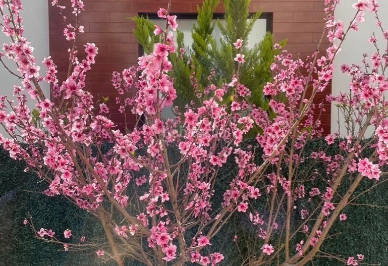 Foto 5b1aed8a-d35e-406f-aa5b-fb0d5c343009. Xalet amb aparcament piscina a La Alberca Polop