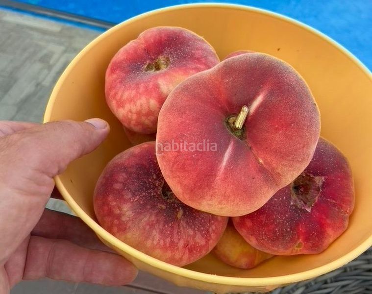 Foto 5ca5c914-0a2a-4b84-bbe7-88e4ecca83f9. Xalet amb aparcament piscina a La Alberca Polop