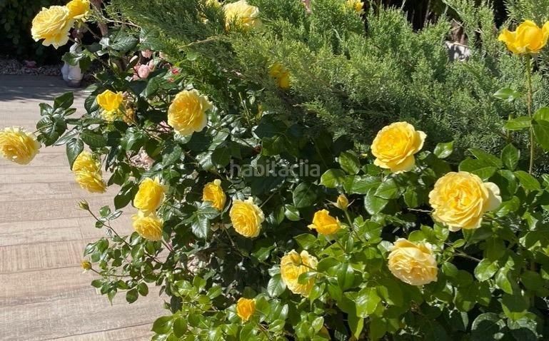 Foto 6572f1db-9e38-4a66-975b-0e4812335ac3. Xalet amb aparcament piscina a La Alberca Polop