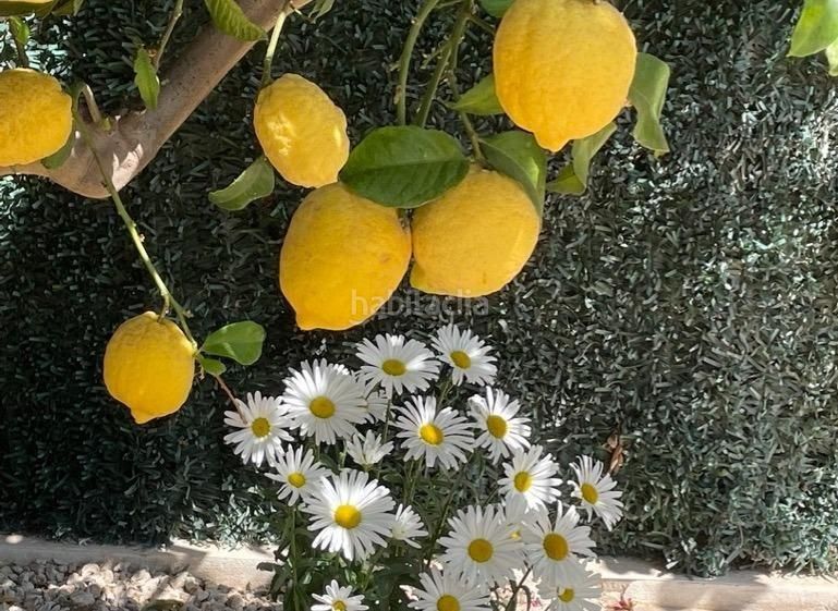 Foto 8d5c9ac0-d056-472c-81f9-7dcf428458c0. Xalet amb aparcament piscina a La Alberca Polop