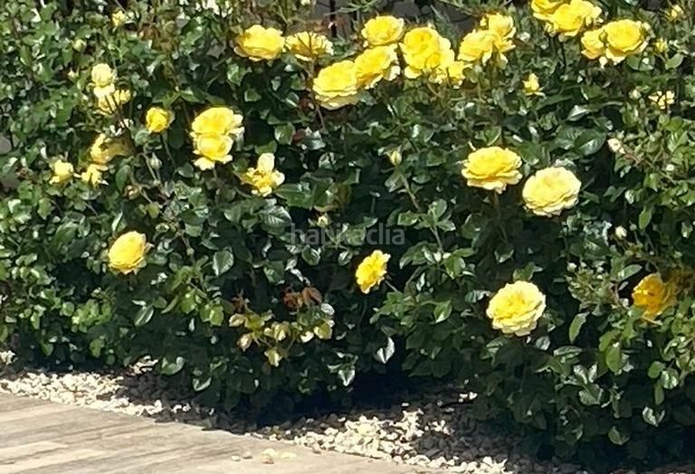 Foto 9df185cd-a831-42a8-8a09-abedf94f8eb4. Xalet amb aparcament piscina a La Alberca Polop