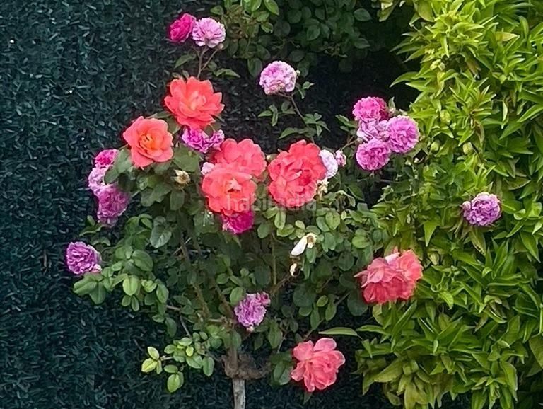 Foto 9ff7b44c-e166-4118-9663-2e44be4a3d00. Xalet amb aparcament piscina a La Alberca Polop