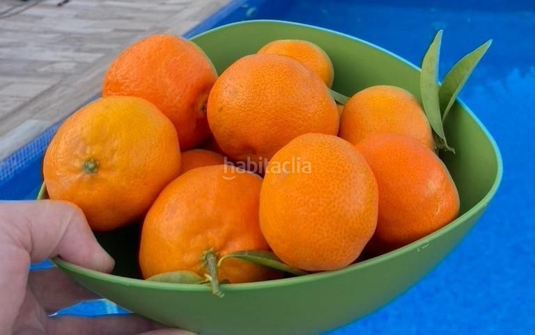 Foto acf10048-c6fd-4e70-a983-ebc84af3913f. Xalet amb aparcament piscina a La Alberca Polop