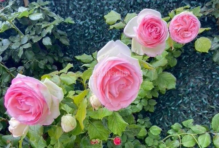 Foto c98f3dcb-4bd6-4cc3-a9d5-0b948cd028f6. Xalet amb aparcament piscina a La Alberca Polop