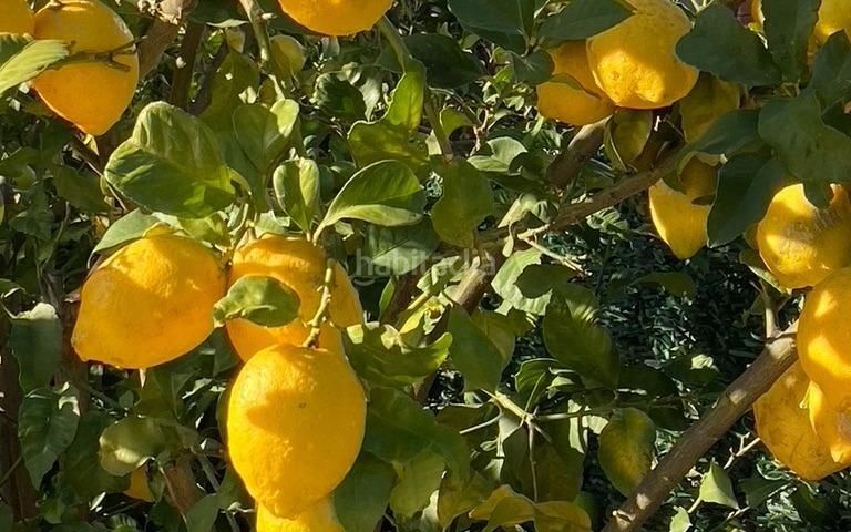 Foto ee7fc9a6-3eaa-4e2c-957f-17bbf2c27288. Xalet amb aparcament piscina a La Alberca Polop