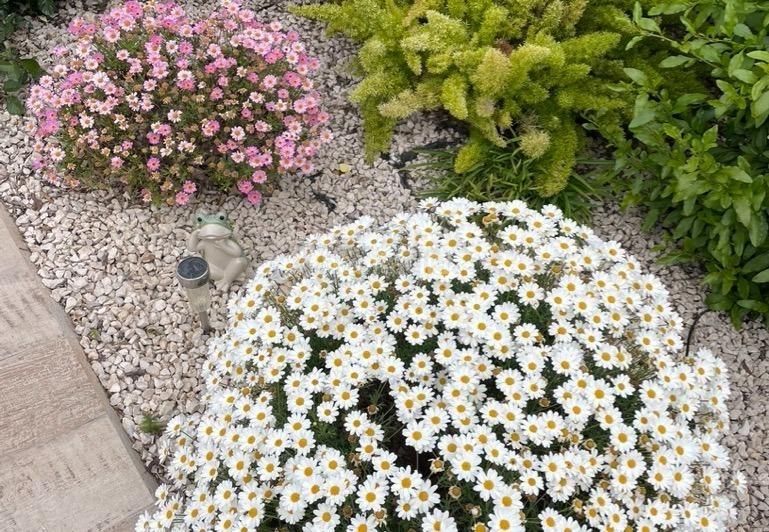 Foto f994a212-f519-42fb-82a1-f9b66d08718e. Xalet amb aparcament piscina a La Alberca Polop