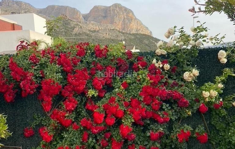 Foto fb4d072a-4bcf-4355-82f8-8e7615c31ecb. Xalet amb aparcament piscina a La Alberca Polop